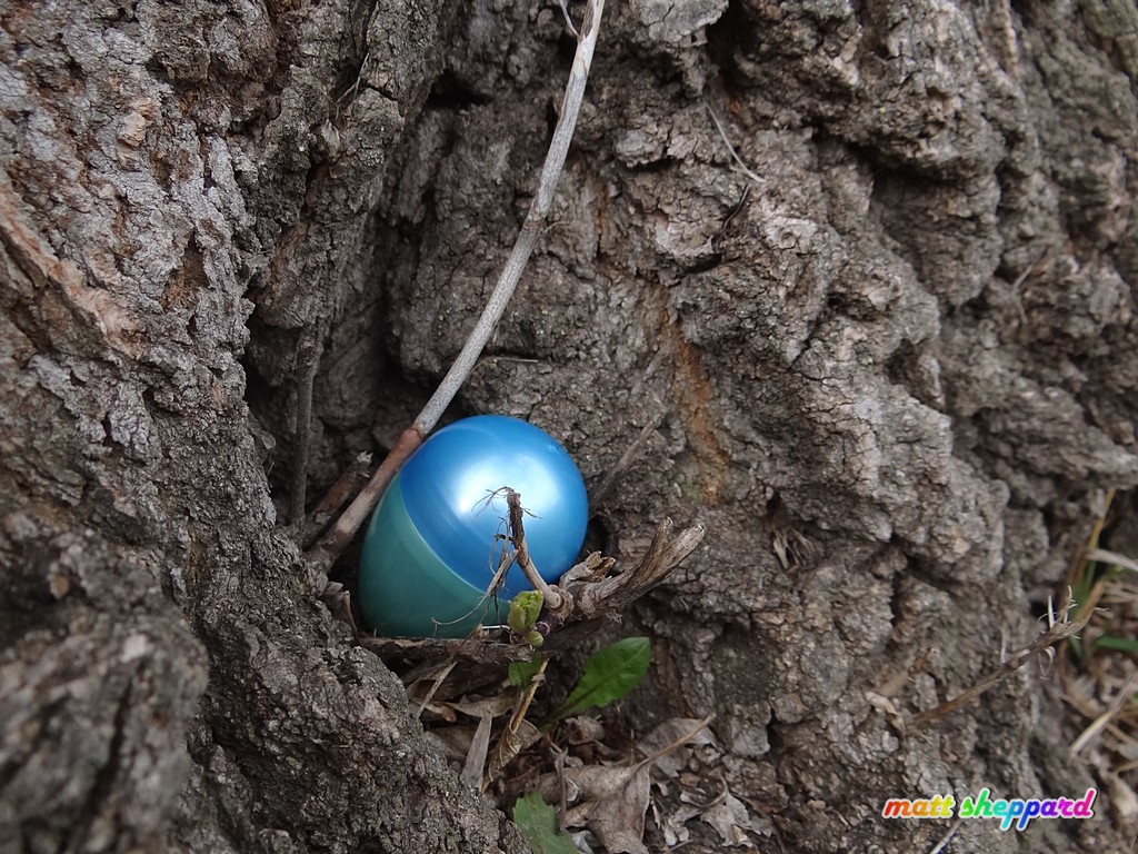 Easter Egg Hunt at McElroy Park - More CSi pixs at Facebook